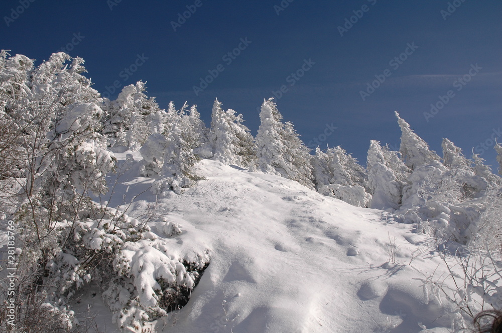 Puy de Dôme sous la neige