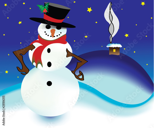 snowman standing in the night
