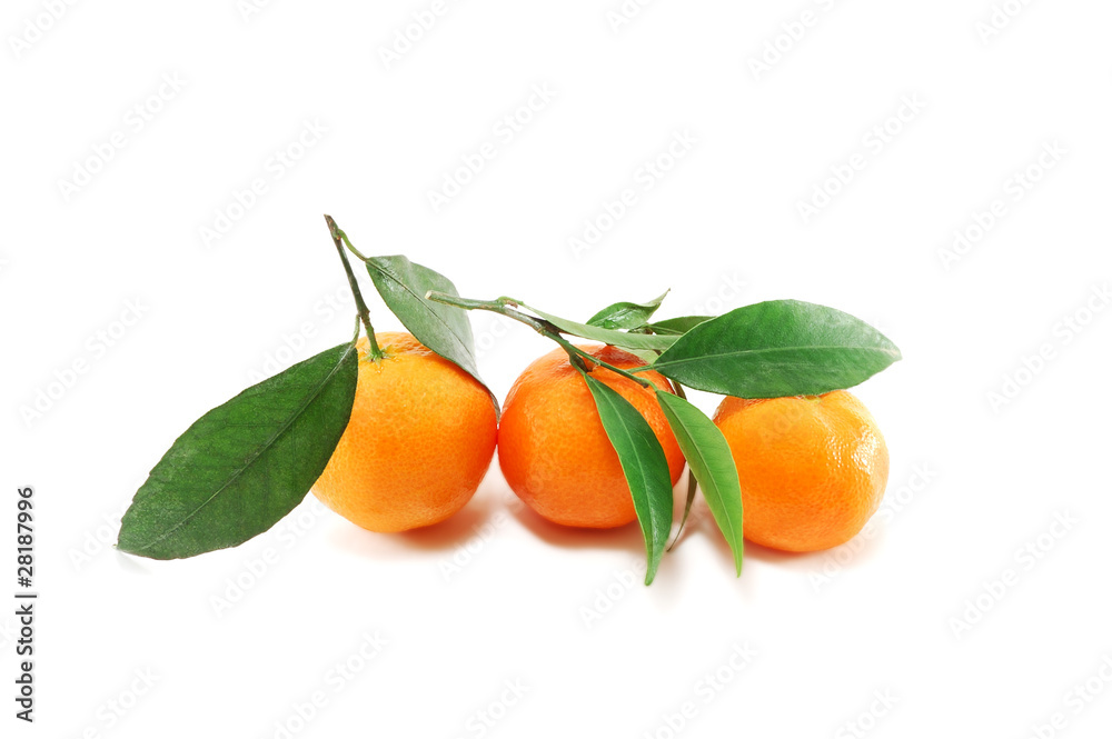 tangerines tangerines