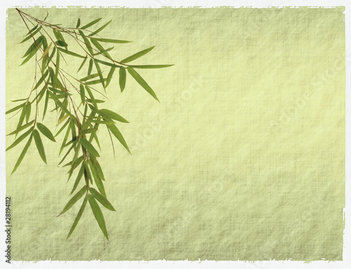 bamboo on antique paper texture © xiaoliangge