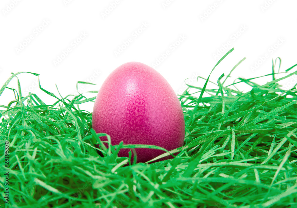 Fototapeta premium eateregg