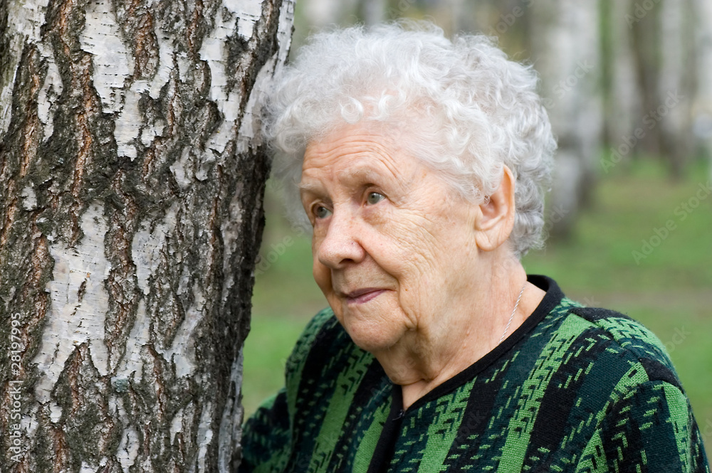 Portrait of the old woman Portrait of the old woman