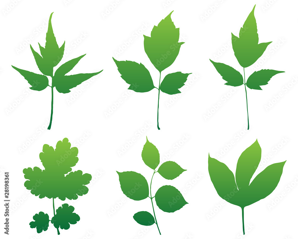 Leaves silhouettes set for design vector format.