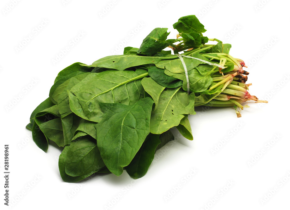sorrel sorrel