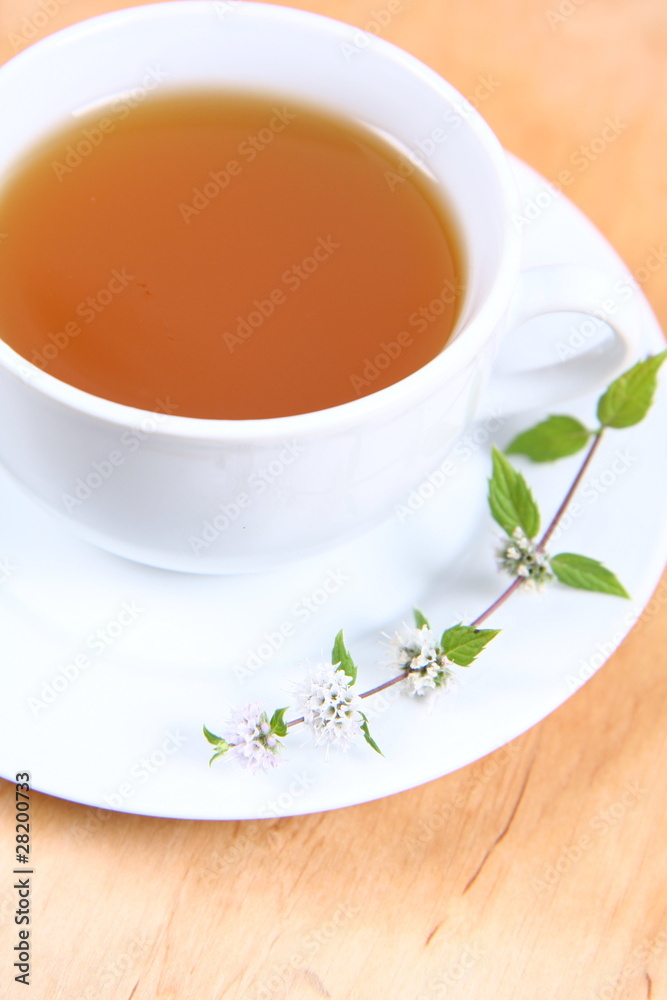 Cup of green tea decorated with mint twig Cup of green tea decorated with mint twig