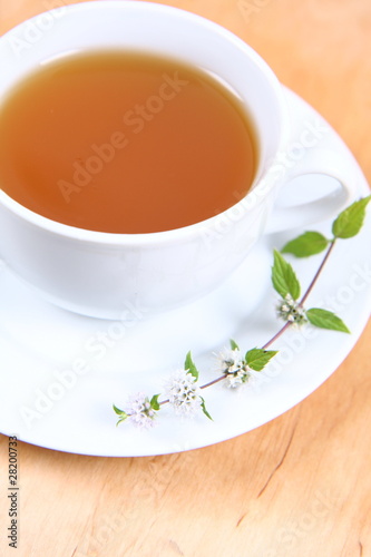Cup of green tea decorated with mint twig