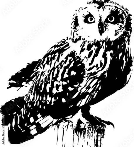 vector howlet