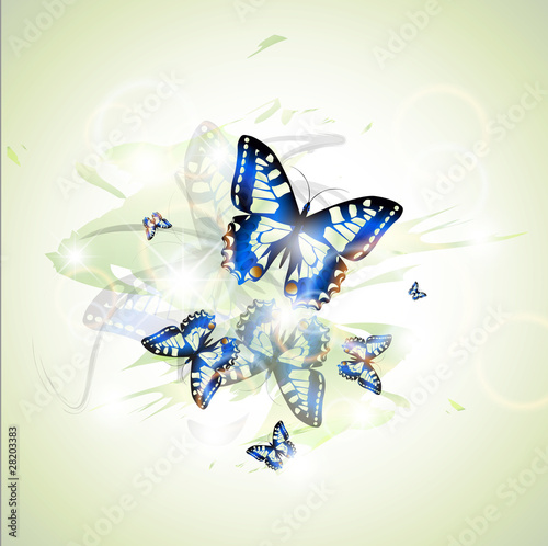 Wallpaper Mural Butterflies Torontodigital.ca