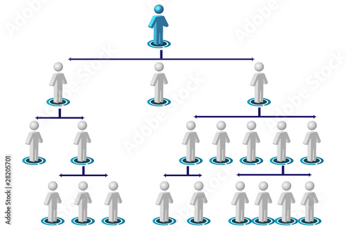 organisation chart