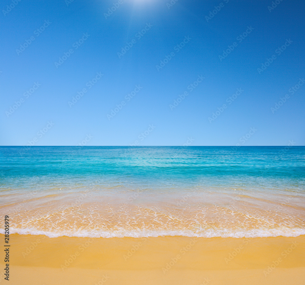 beach and tropical sea