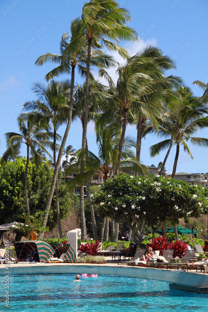 Resort Hotel Pool, Kauai