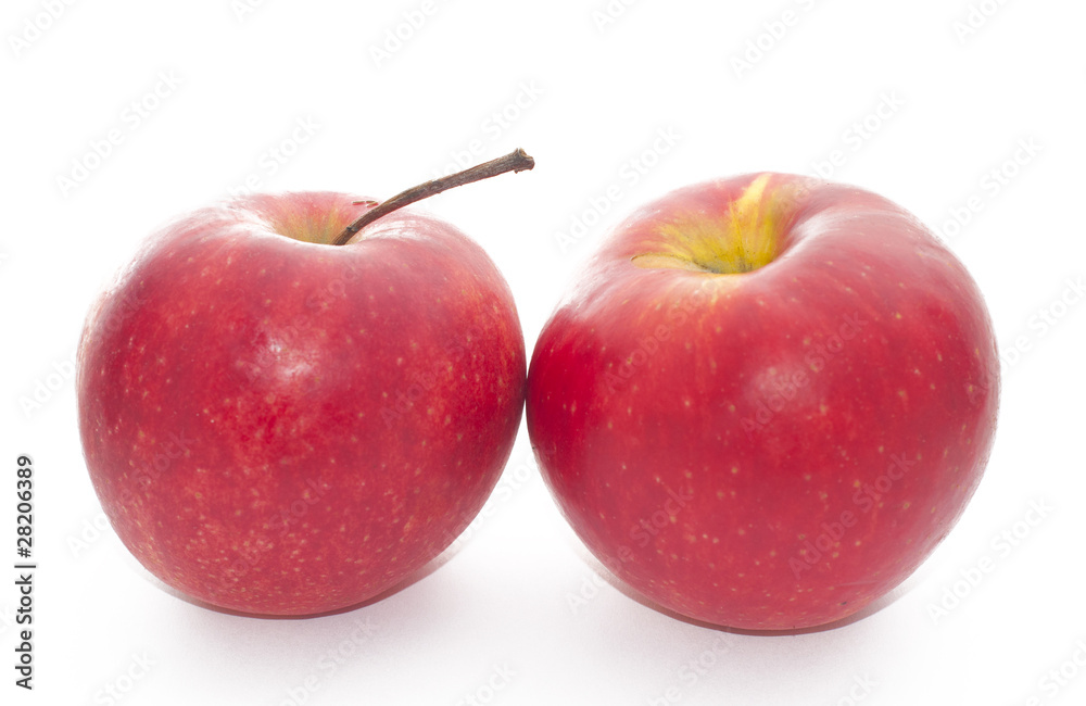fruit fruit