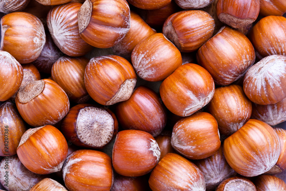 Obraz premium Hazelnuts