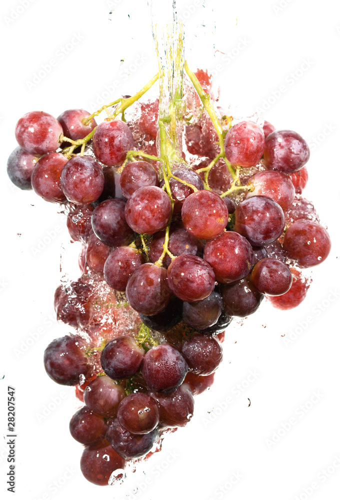 Cluster of grapes in water drops..