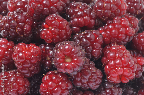 raspberries