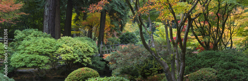 Wooden bridge, Japanese Garden
