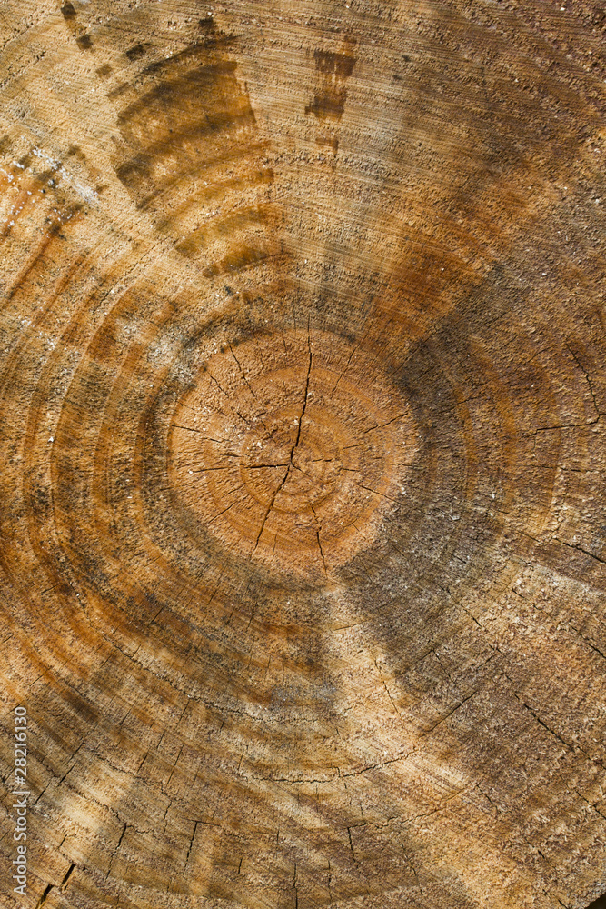 Naklejka premium Textutre de bois