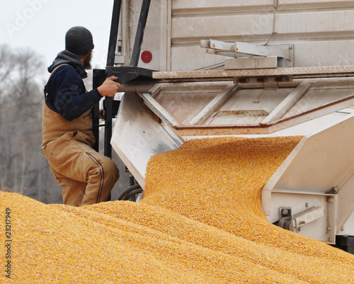 Φωτογραφία Man Unloading Corn from a Truck