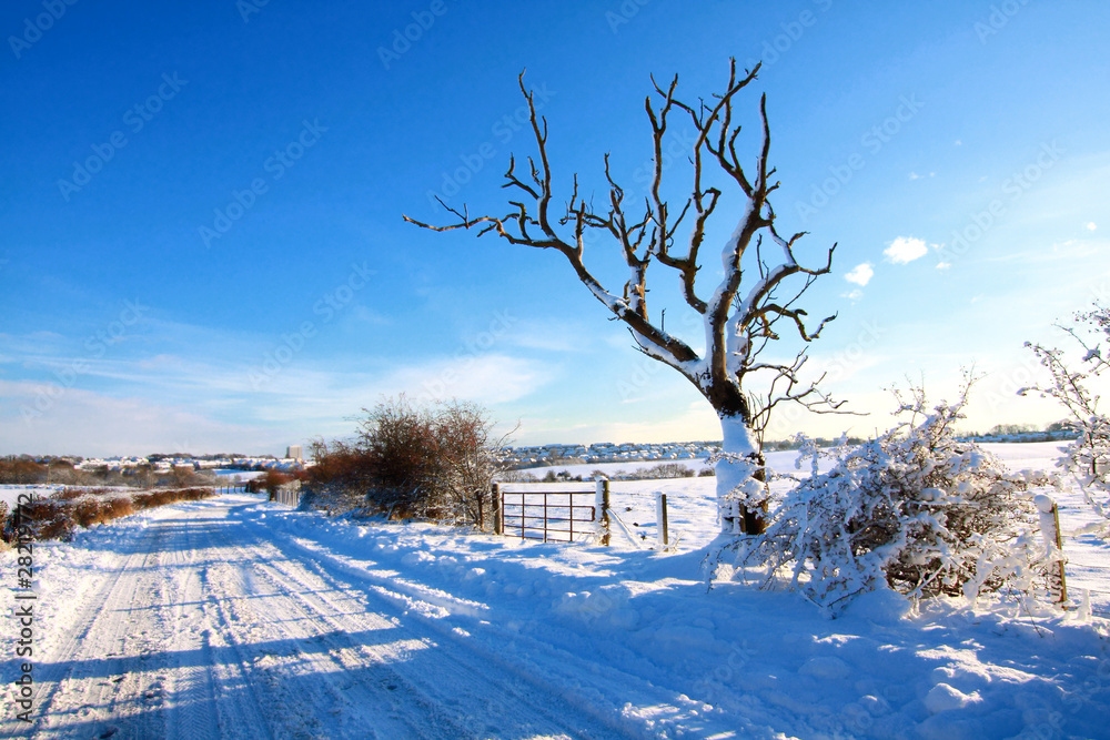 Snowy road in the countryside, Scotland