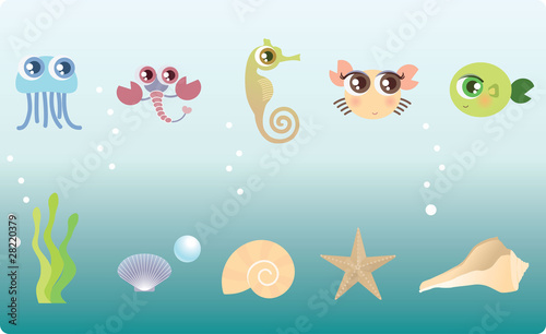 marine life