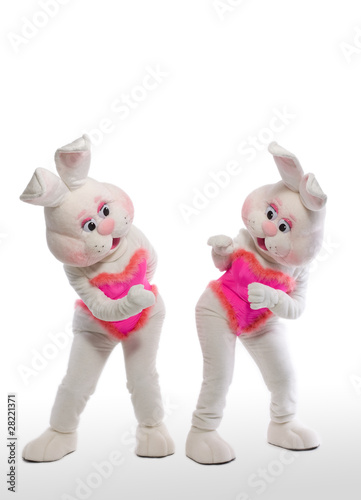 two bunny girl mascot costume © Wisky