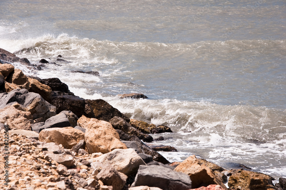 Fototapeta premium Mole, Detail