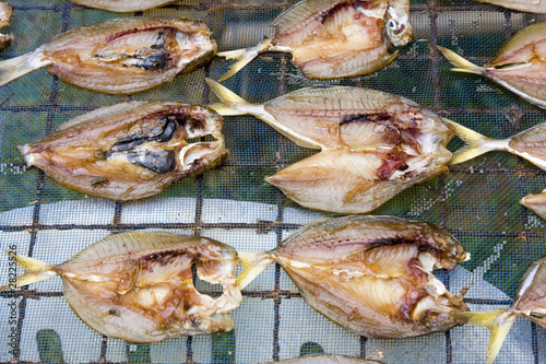 Dried fish on the market in Thailand