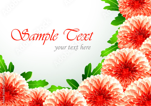 floral background with chrysanthemum