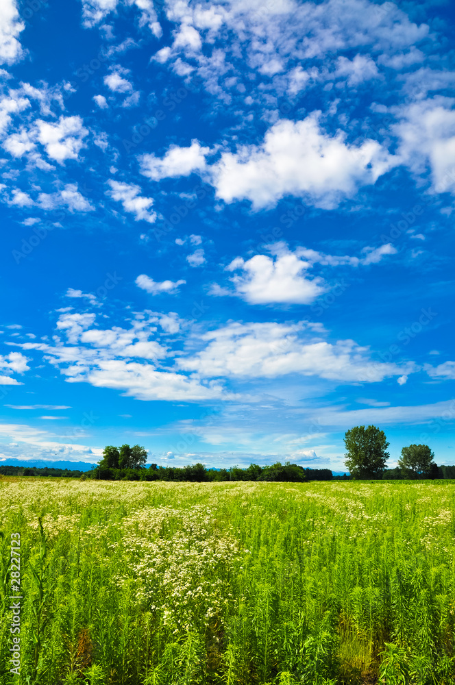 Beautiful rural landscape from Italy