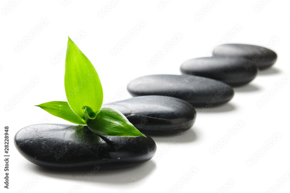 Fototapeta premium Spa