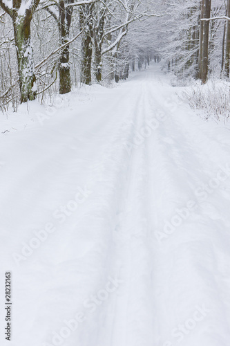 snowy road, Czech Republic © Richard Semik