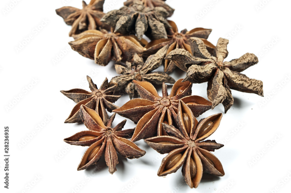 Sternanis Sternanis