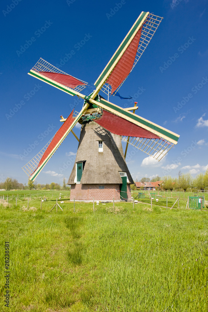 Fototapeta premium windmill, Ooievaarsdorp, Netherlands