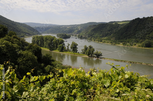 Rhein photo