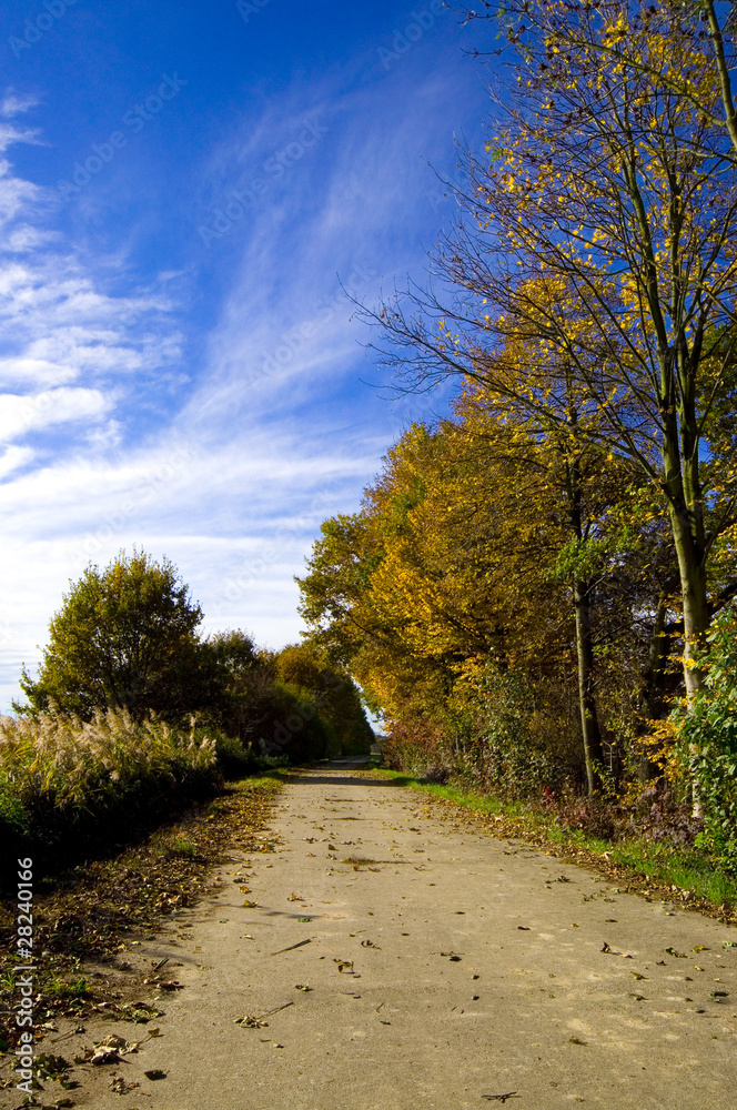 Fototapeta premium Feldweg
