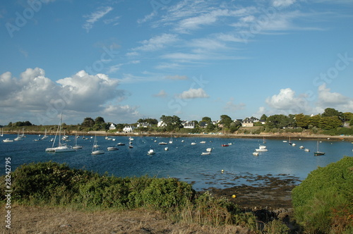 crique dans le golfe du Morbihan © michelgrangier