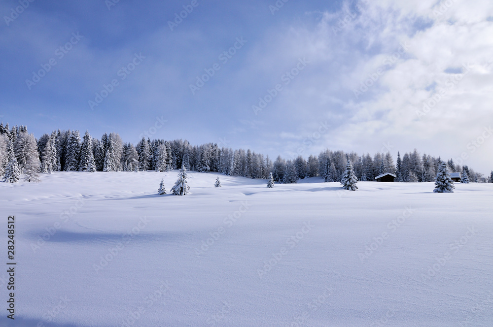 dolomites