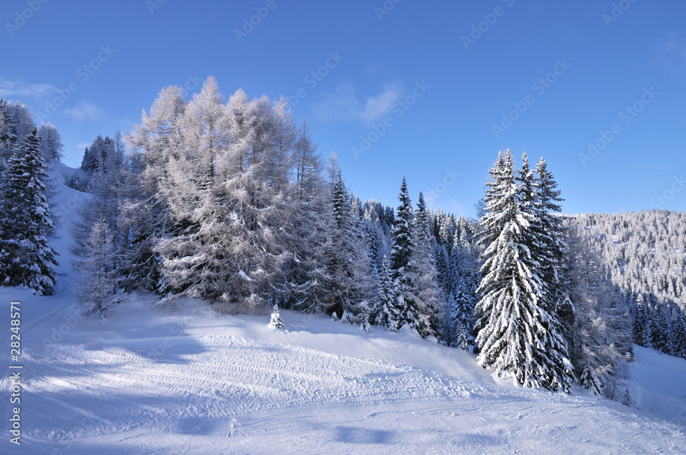 Fototapeta premium dolomites