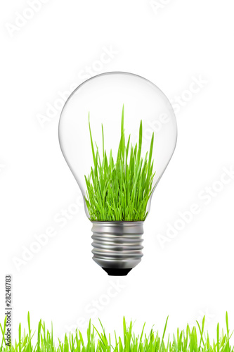 green energy concept: light bulb with grass inside