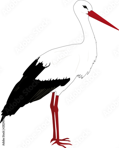 Stehender Storch outline
