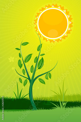 nature card with sun