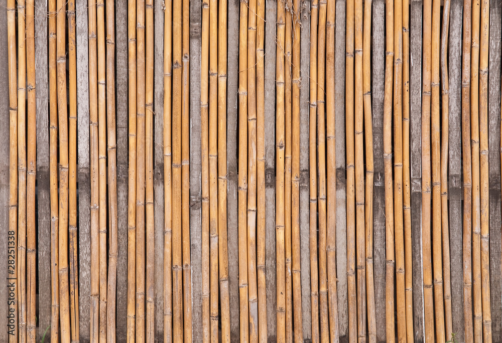 bamboo texture bamboo texture