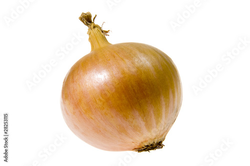 Wallpaper Mural Zwiebel 001 Torontodigital.ca