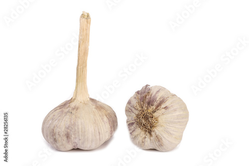 garlic spice isolated on the white background
