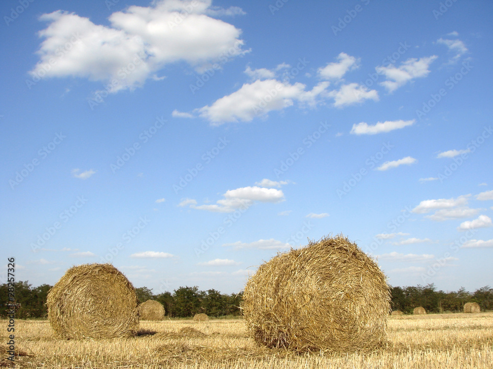 golden straw bales