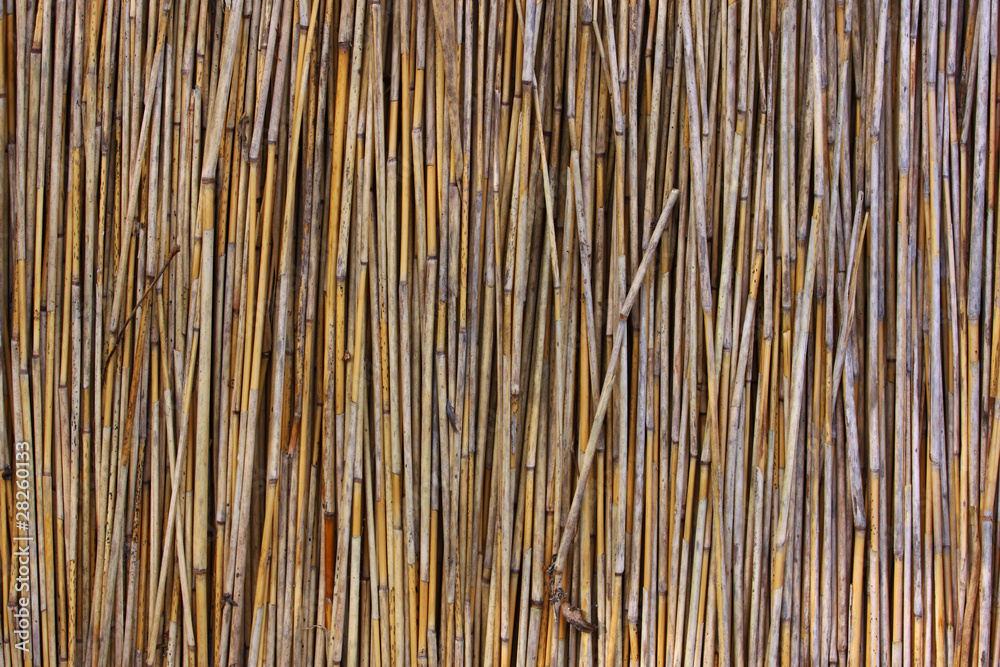 Bamboo Curtain Bamboo Curtain