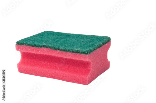 sponge