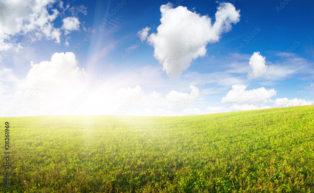 Obraz premium Green field under in gold sunrise beam