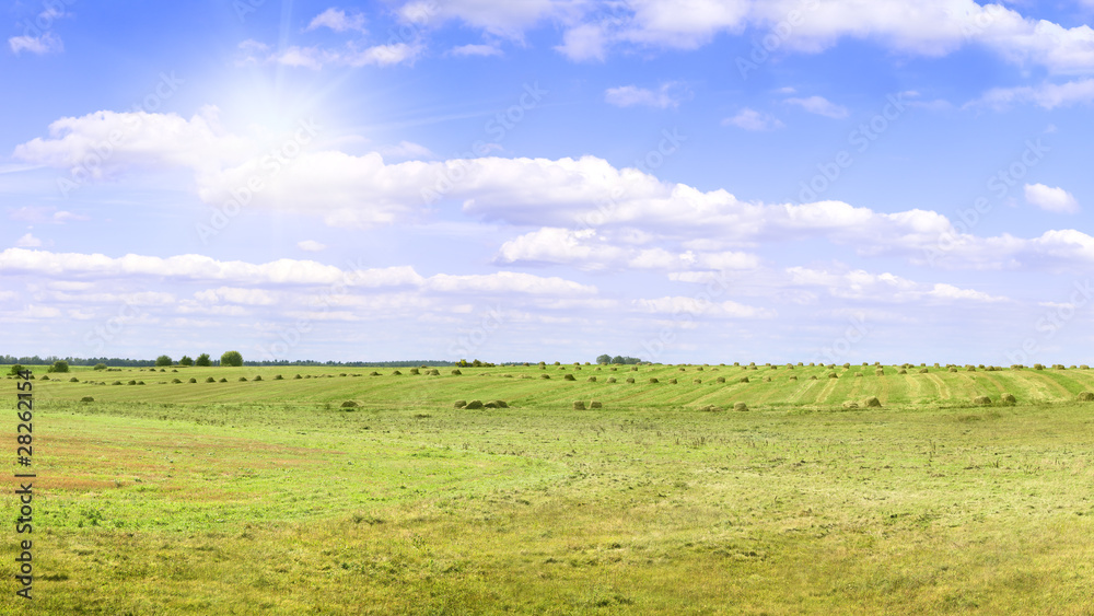 Yellow field of haystacks under blue sky. Yellow field of haystacks under blue sky.