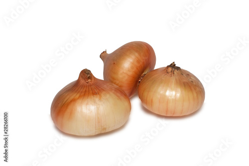 yellow onion on a white background